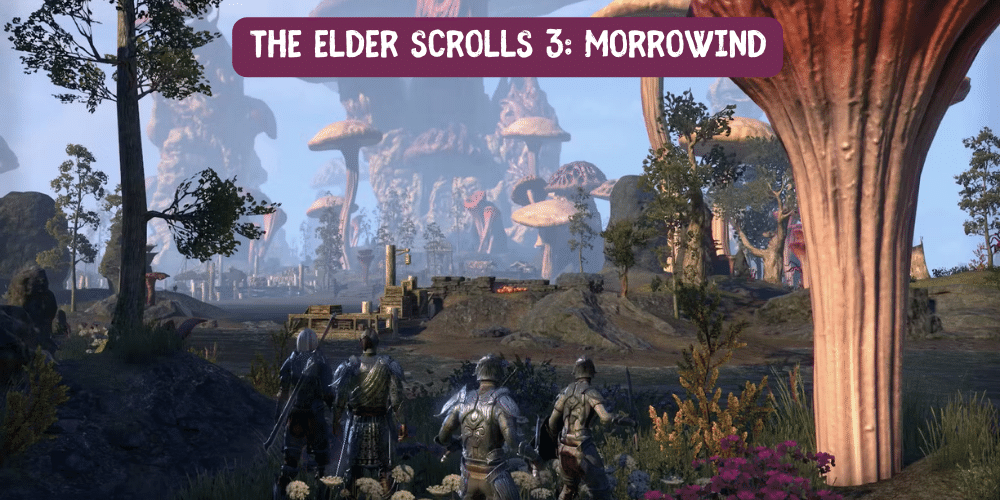 The Elder Scrolls 3 Morrowind